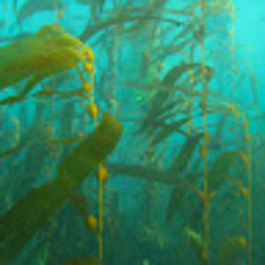 Meet your Posher, Scott b.